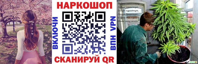 Где продают наркотики Шенкурск Галлюциногенные грибы  Каннабис  Меф  ГАШИШ  COCAIN  А ПВП 