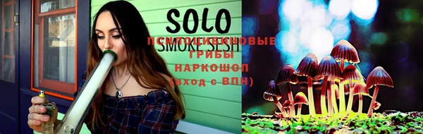 apvp Белокуриха