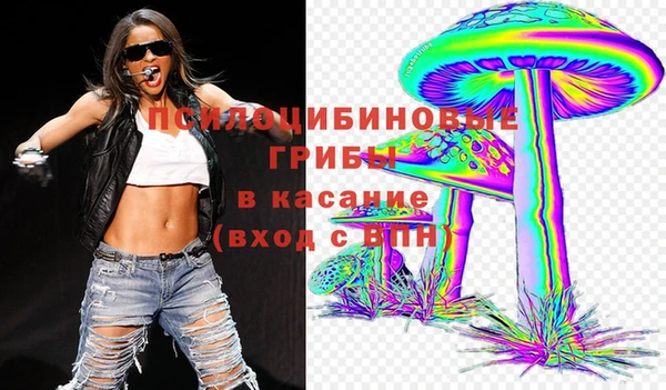 эйфоретик Богородск