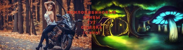 apvp Белокуриха