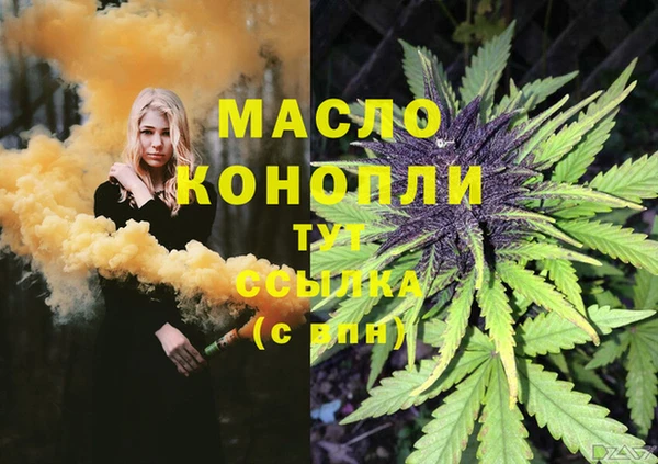 гашик Богородицк