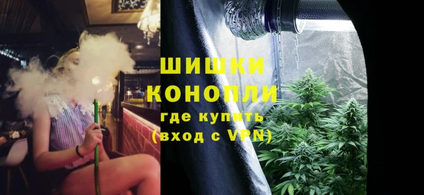 гашик Богородицк