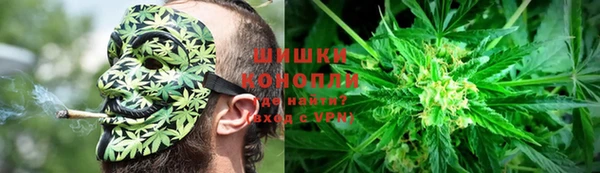 гидропоника Белоозёрский