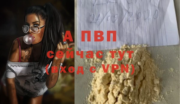 apvp Белокуриха