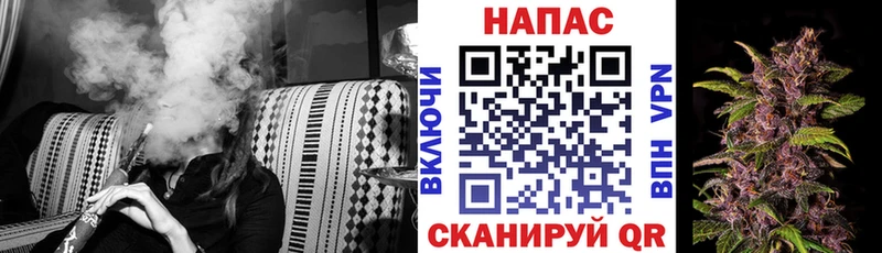 закладка  гидра рабочий сайт  Марихуана конопля  Шенкурск 